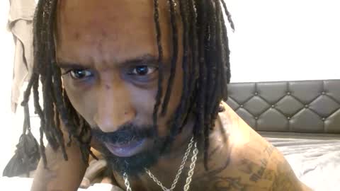 11hundsum stream preview