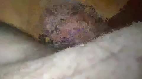 13shucky live stream