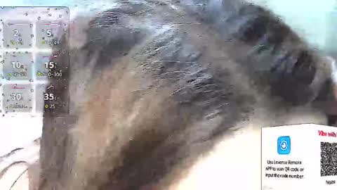 1nakedneighbor live stream