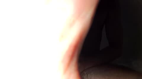 2007lucas live stream