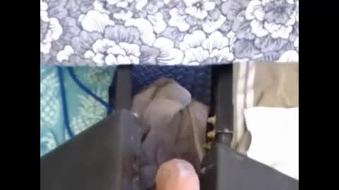 77airegin live stream