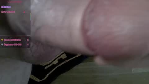 81_harterschwanz live stream