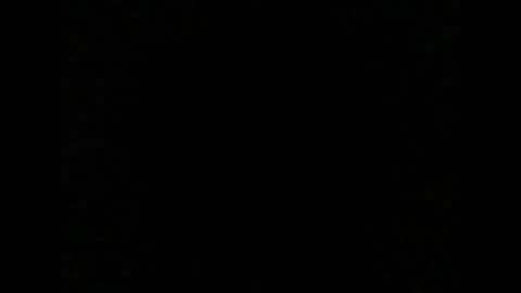 _niceguy stream preview