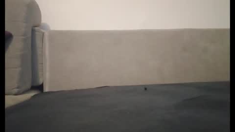 adam180896 stream preview