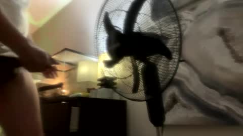 ajj0921 stream preview