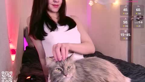 ak444sh11 stream preview