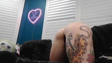 alabamadeer stream preview