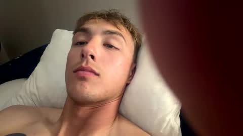 alaskanhorse stream preview