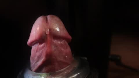 alexhoward live stream