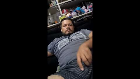 alfaalgo stream preview