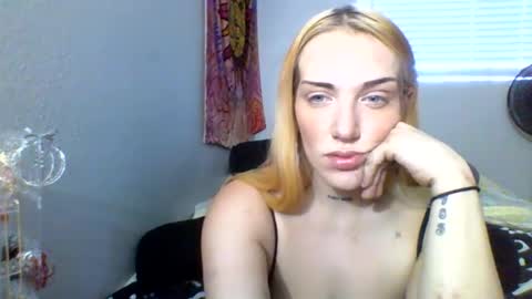 allforthedxll stream preview