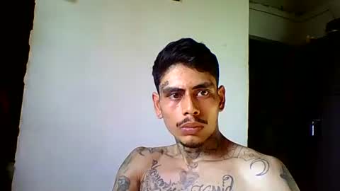 alpha_zom live stream