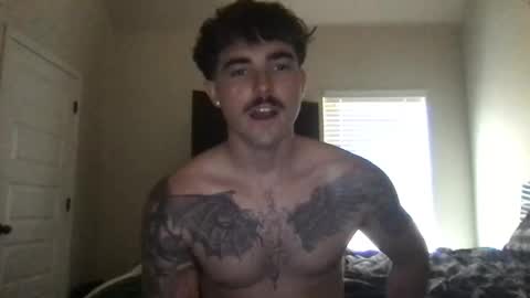 alphafrank stream preview