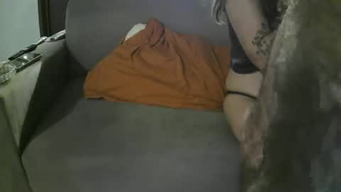 amram1985 stream preview