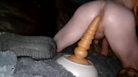 anal_prince69 live stream