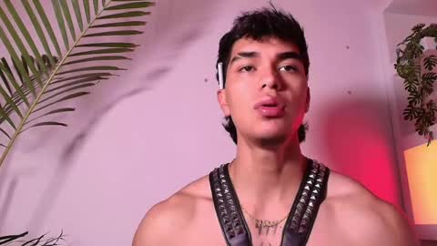 andypalmerr stream preview