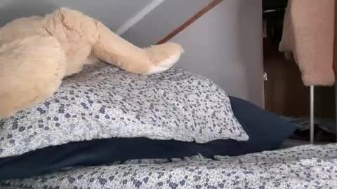 angelicarainss stream preview