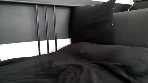 apollobest77 stream preview