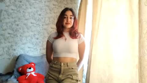 ariellewallet stream preview