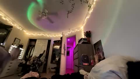 arizonaheatt stream preview