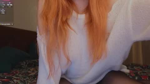 artemisa_meows live stream