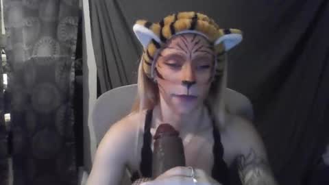 ashleewolfx stream preview