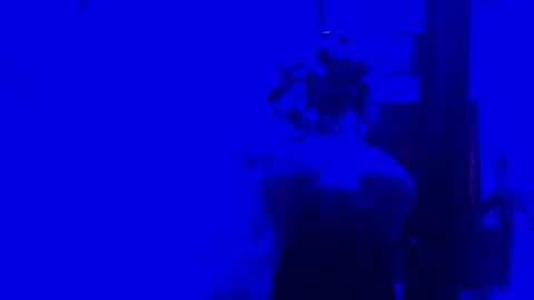avafox_x stream preview