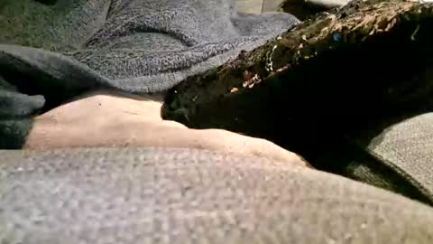 axelle_garcia live stream