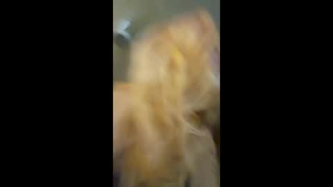 baddiebb098 live stream