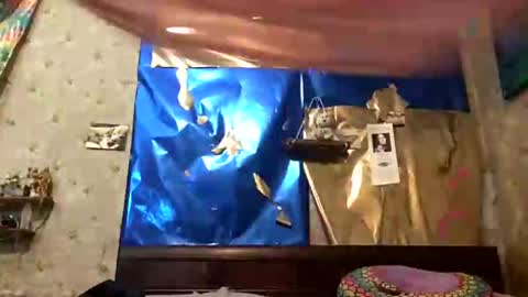 bangingstar stream preview