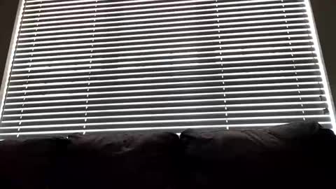 barbie11251 stream preview