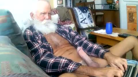 beardbushy stream preview