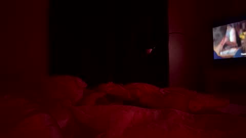 bella27235 stream preview