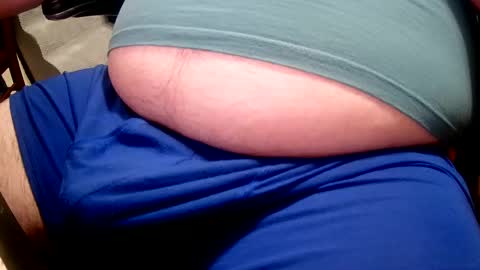 bellypup live stream