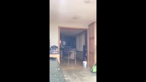 bgiamba21 stream preview