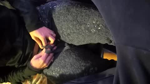 bhdickin stream preview