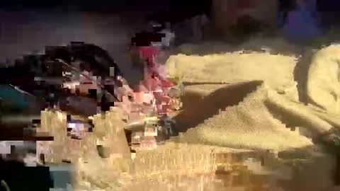 bigdt695 live stream