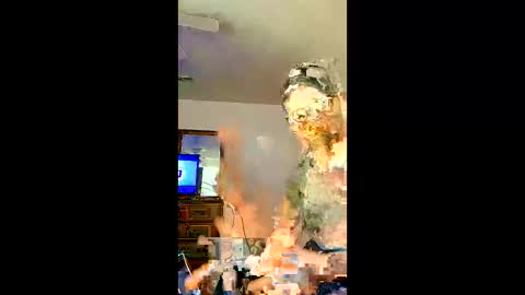 bigernine live stream