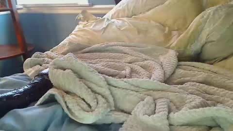 bikeman2x live stream