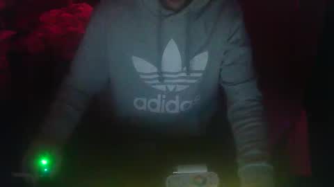 bingz88 stream preview