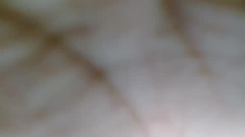 blackbarbiechantalxvx live stream