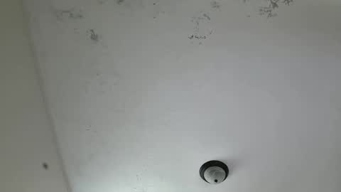 blancomilk23 stream preview