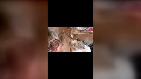 blazingbeauty0420 stream preview