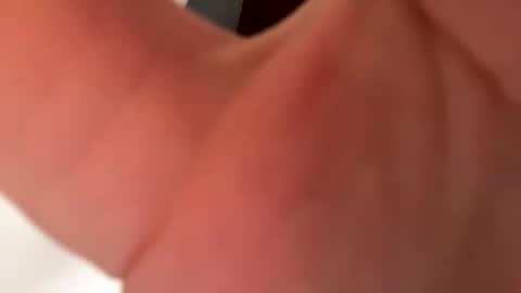 blueskiflower stream preview