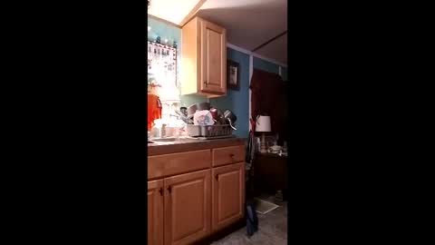 bossusaround stream preview