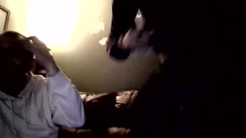 brucer0517 live stream