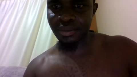 brusedarling live stream