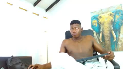 bruuno11 stream preview