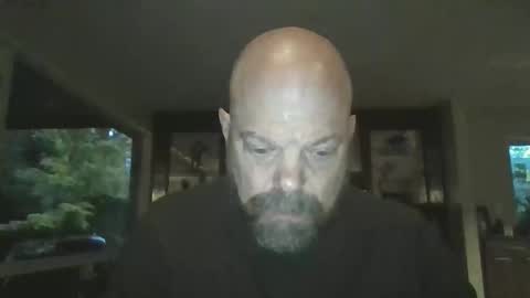 bulldog302w live stream