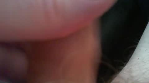 bullemoe live stream